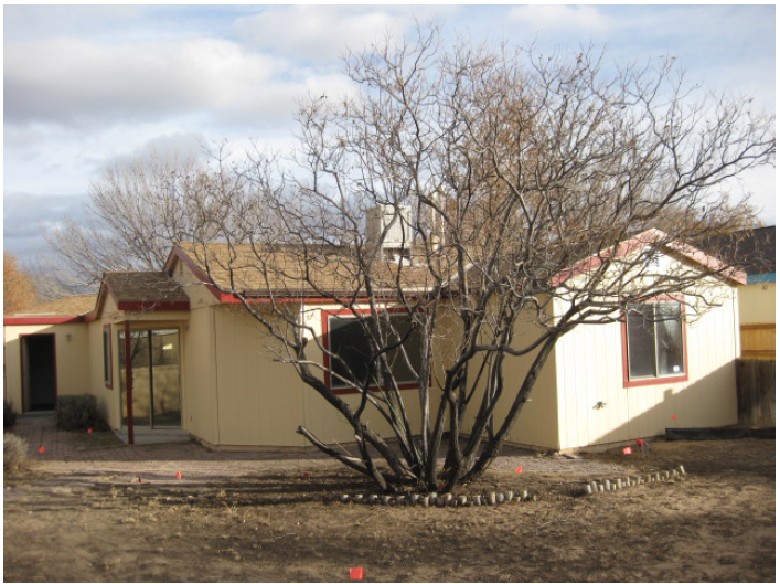 1140 Mara Way NERio Rancho, NM, 87144Sandoval County