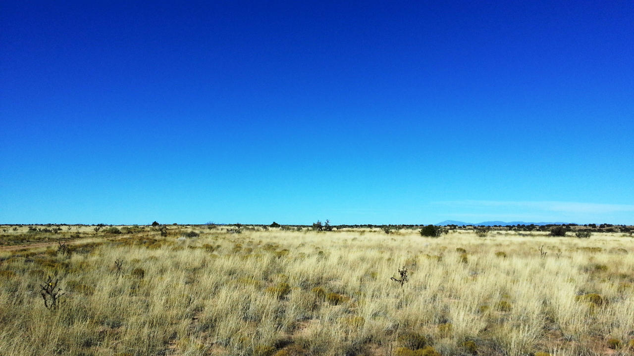 Harmony Drive NW, Rio Rancho, NM 87144