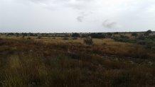 0 Lhasa Court NE, Rio Rancho, NM 87144