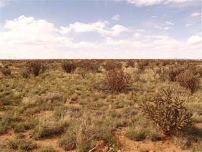15th Avenue NW, Rio Rancho, NM 87144