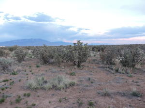 Krighton Road NE, Rio Rancho, NM 87144