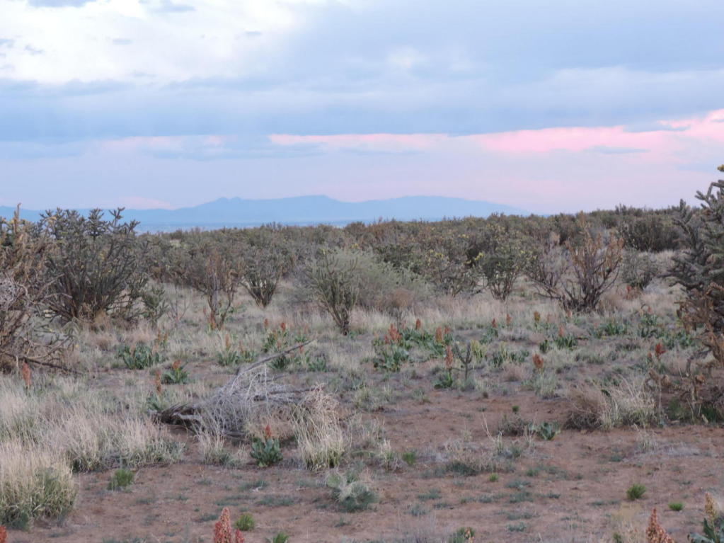 Krighton Road NE, Rio Rancho, NM 87144