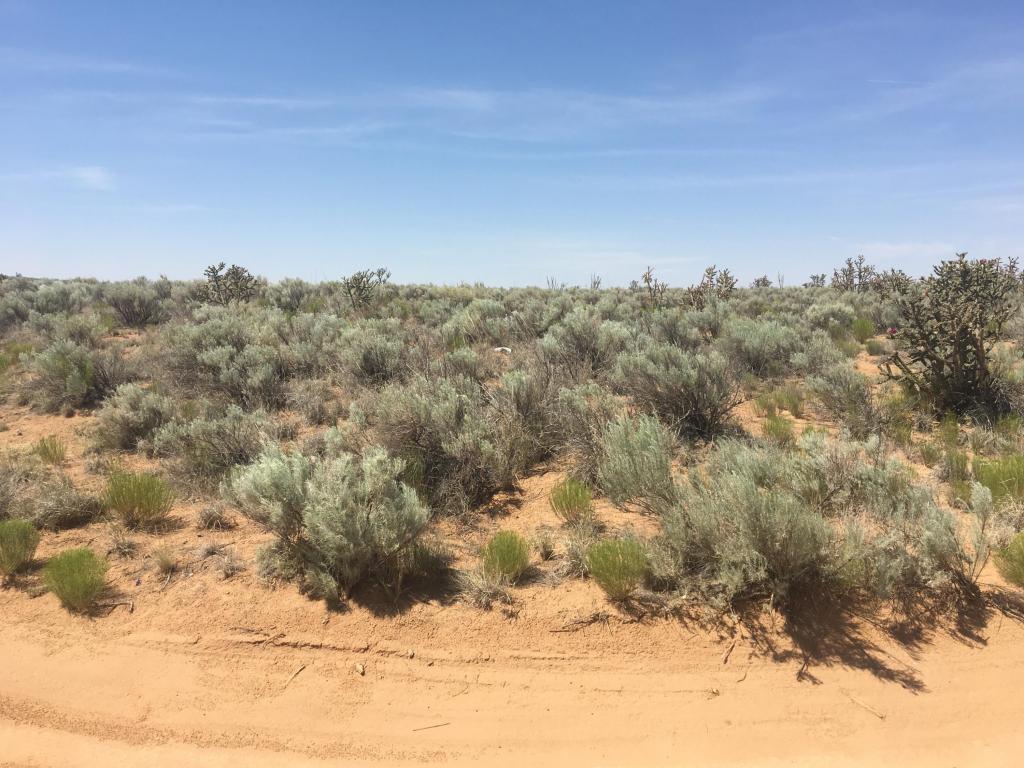 3913 Lookover Drive NE, Rio Rancho, NM 87144