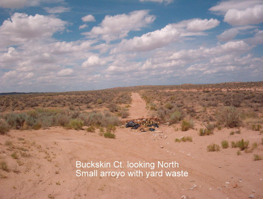 2519 Buckskin  Court NE, Rio Rancho, NM 87144