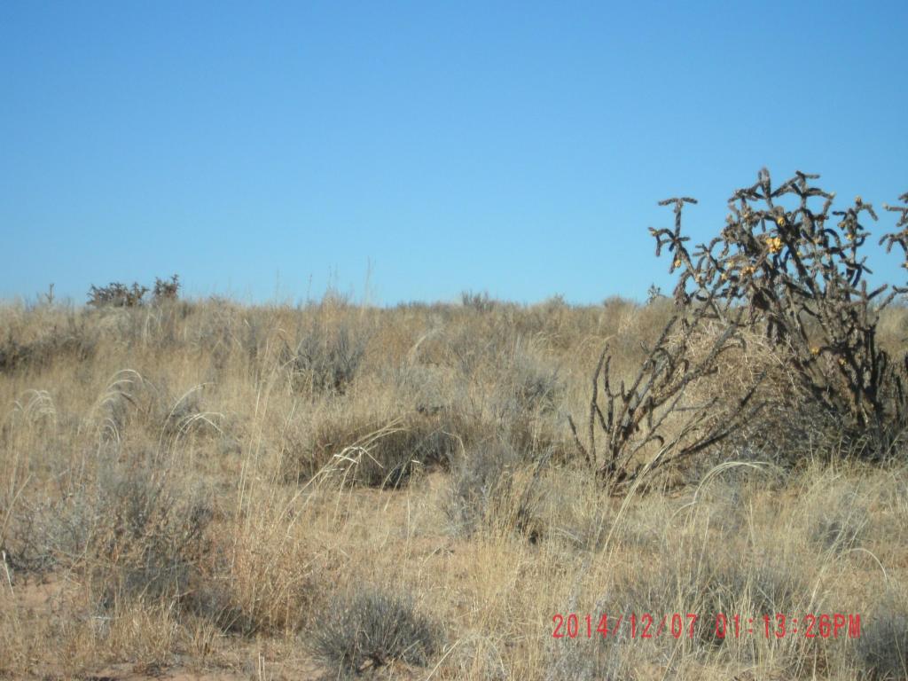 1721 King Boulevard NE, Rio Rancho, NM 87144