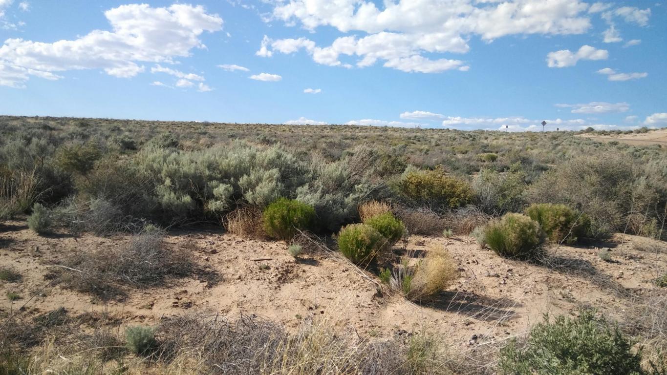 NW Winchester NE, Rio Rancho, NM 87144