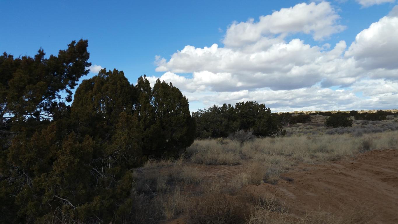 5227 Mozart Court NE, Rio Rancho, NM 87144