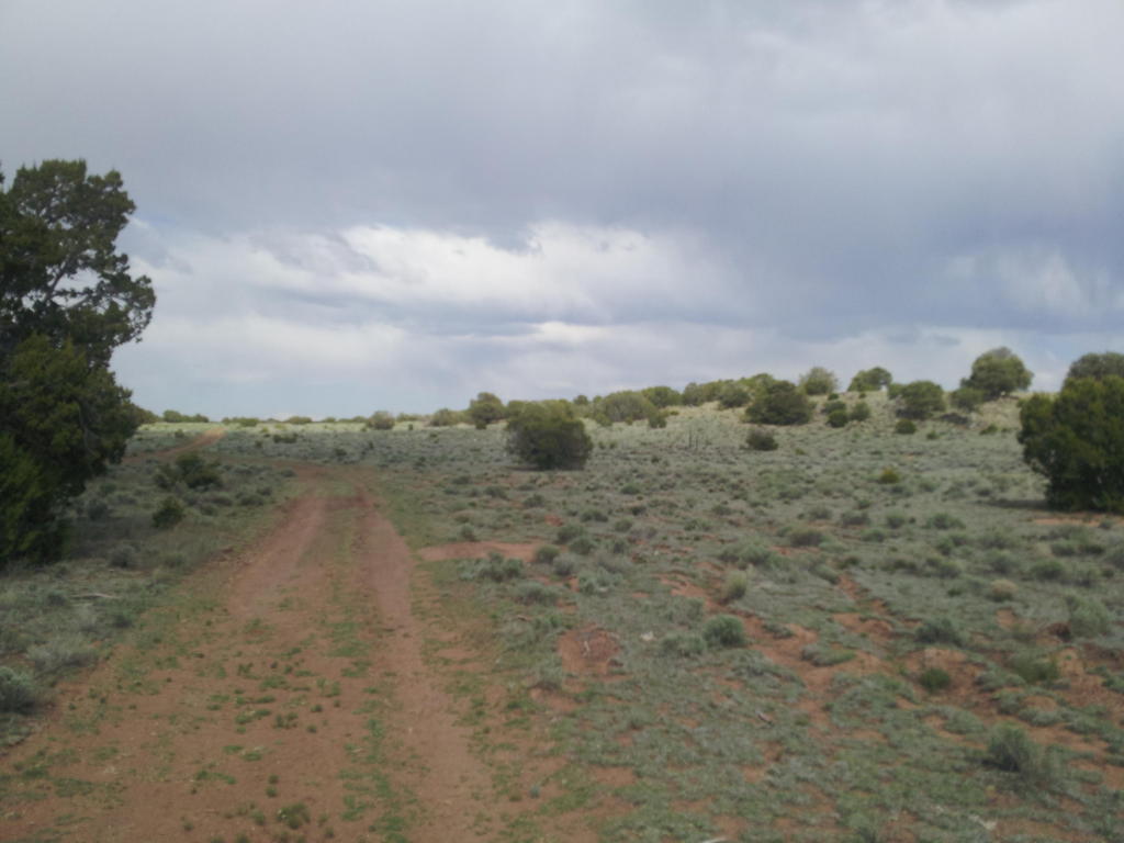 Geraldine Way, Fence Lake, NM 87315