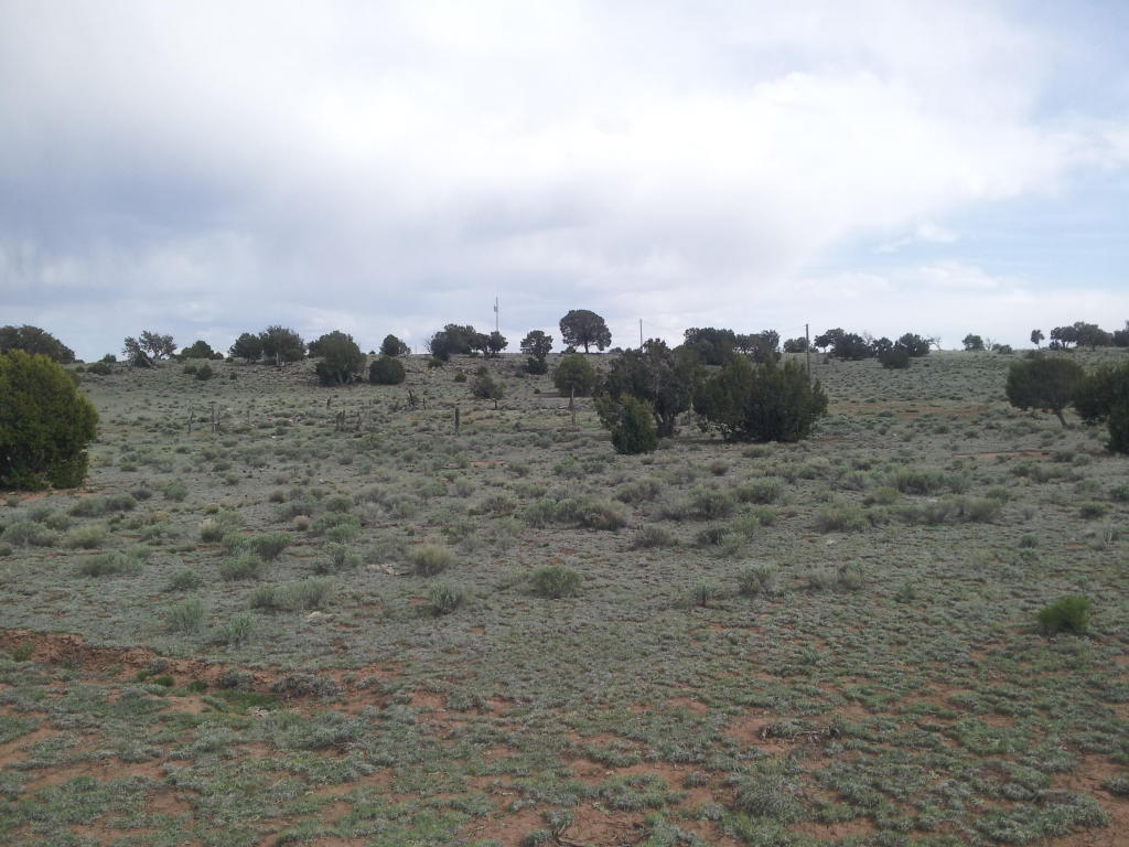 Geraldine Way, Fence Lake, NM 87315