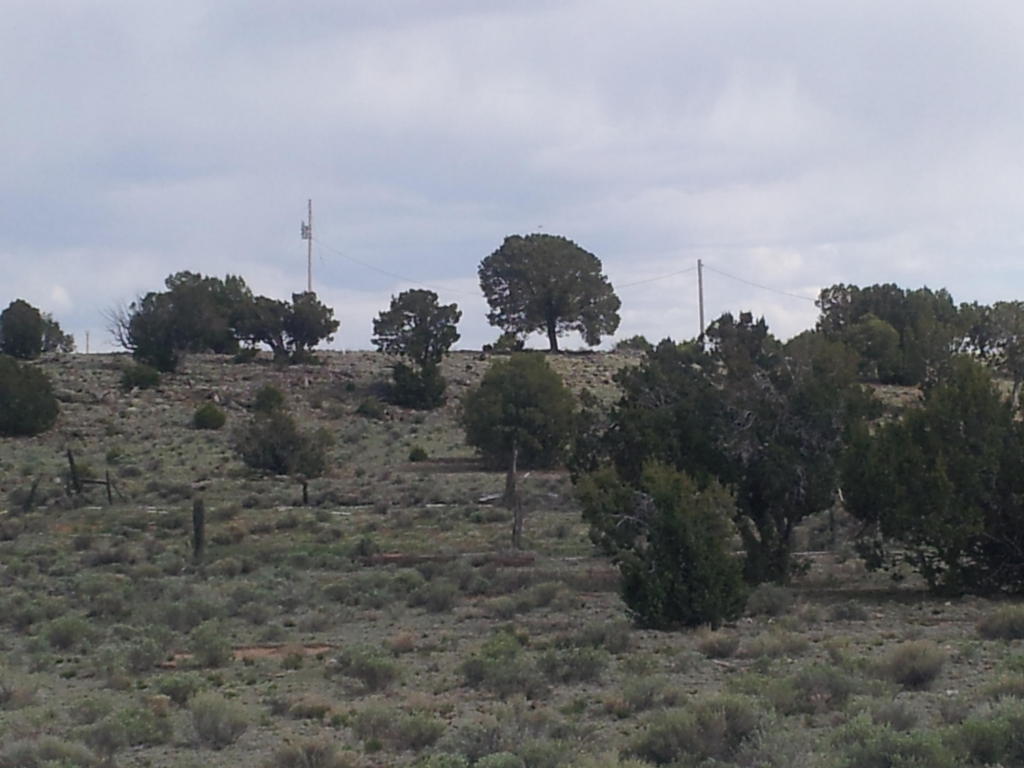 Geraldine Way, Fence Lake, NM 87315