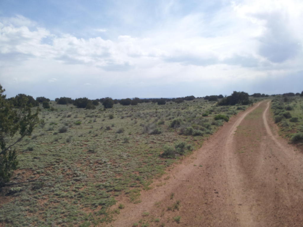 Geraldine Way, Fence Lake, NM 87315