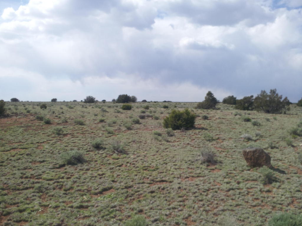 Geraldine Way, Fence Lake, NM 87315