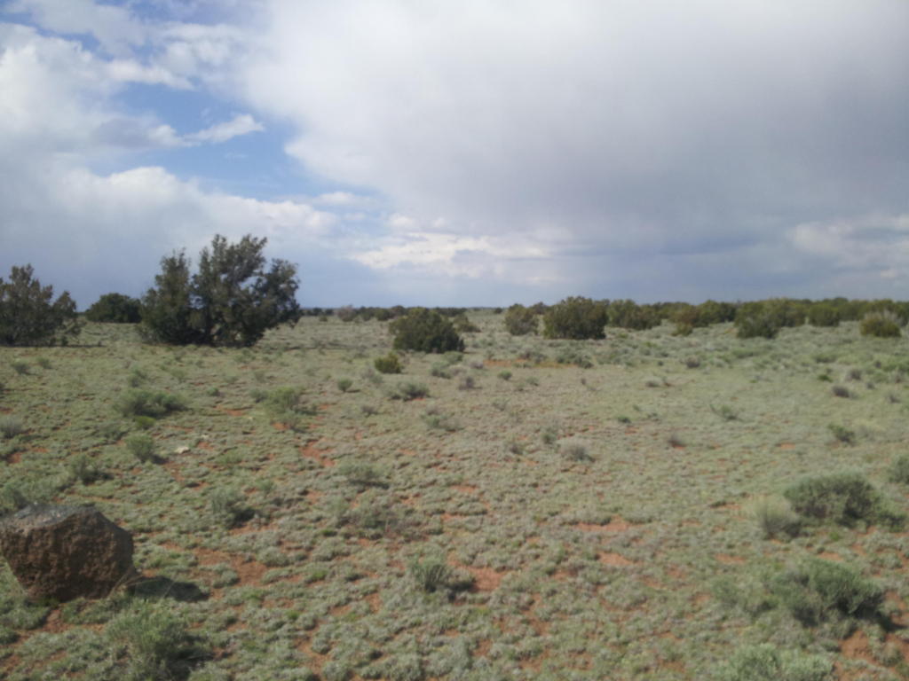 Geraldine Way, Fence Lake, NM 87315