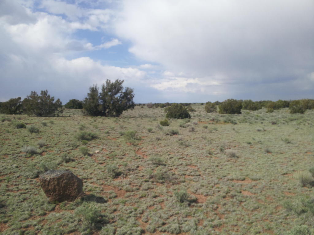 Geraldine Way, Fence Lake, NM 87315