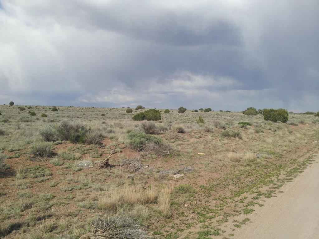 Pine Hill Road, Fence Lake, NM 87315