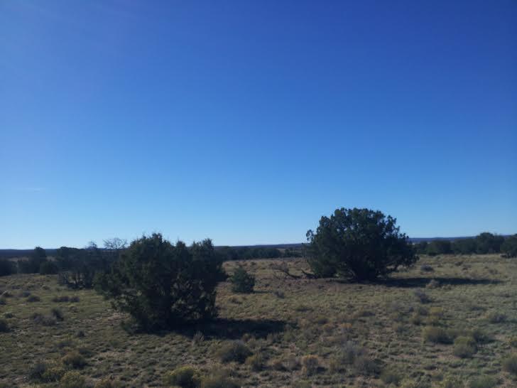 Pine Hill Road, Fence Lake, NM 87315
