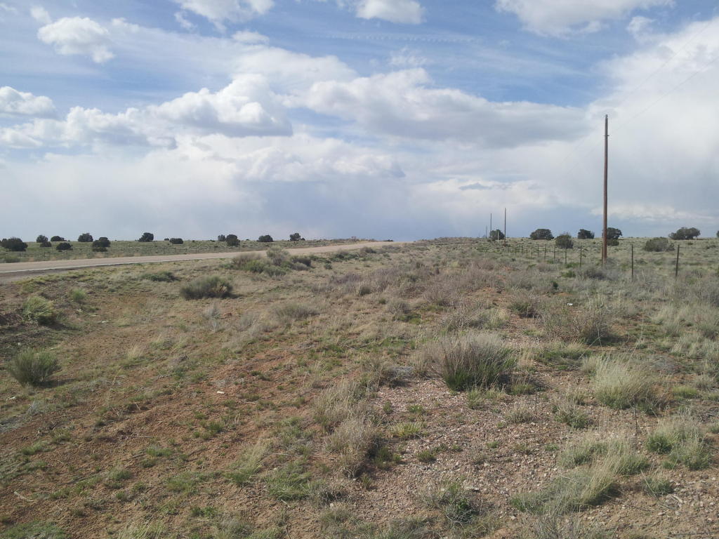 Pine Hill Road, Fence Lake, NM 87315
