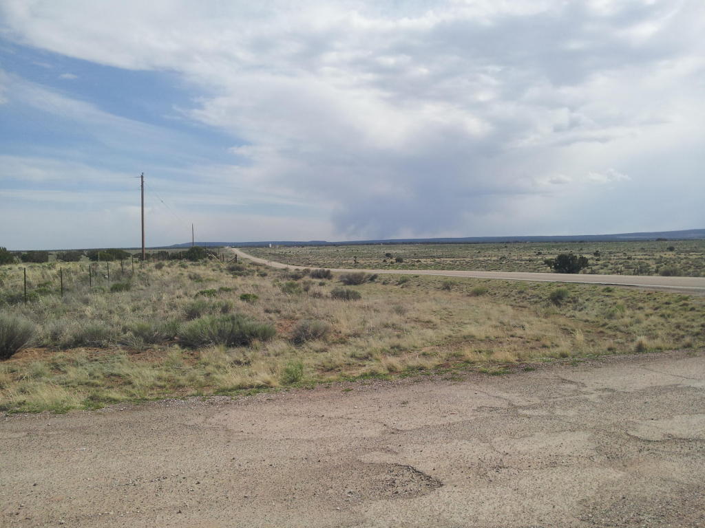 Pine Hill Road, Fence Lake, NM 87315