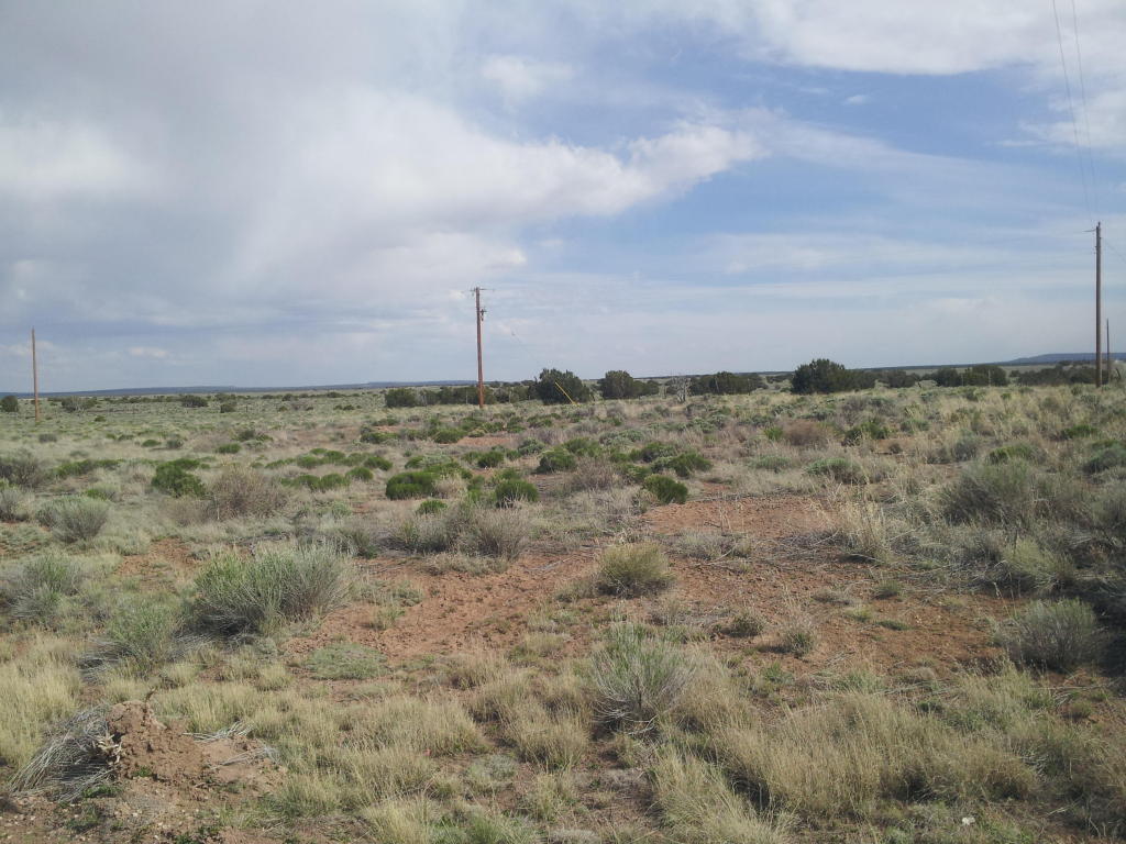 Pine Hill Road, Fence Lake, NM 87315