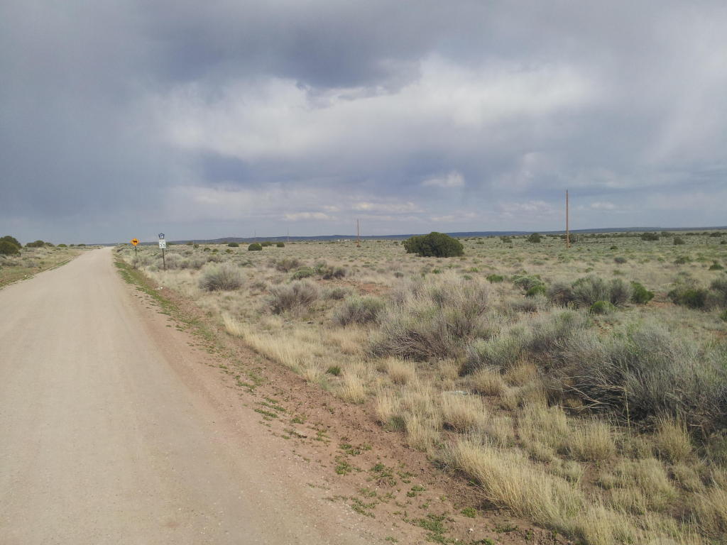 Pine Hill Road, Fence Lake, NM 87315