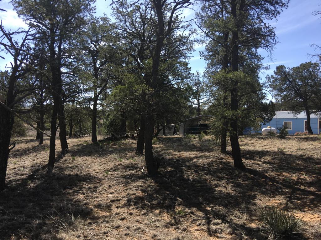 Lot 274 Pine Meadows Ranch Unit 4, Ramah, NM 87321