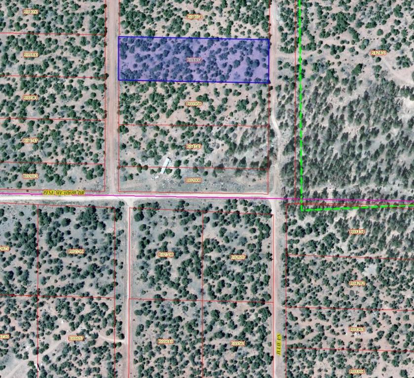 628 Pine Meadows Unit 4, Ramah, NM 87321