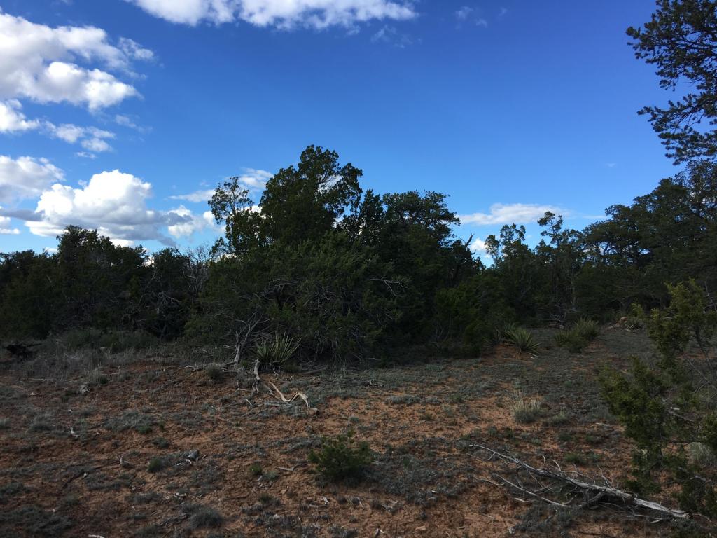 628 Pine Meadows Unit 4, Ramah, NM 87321