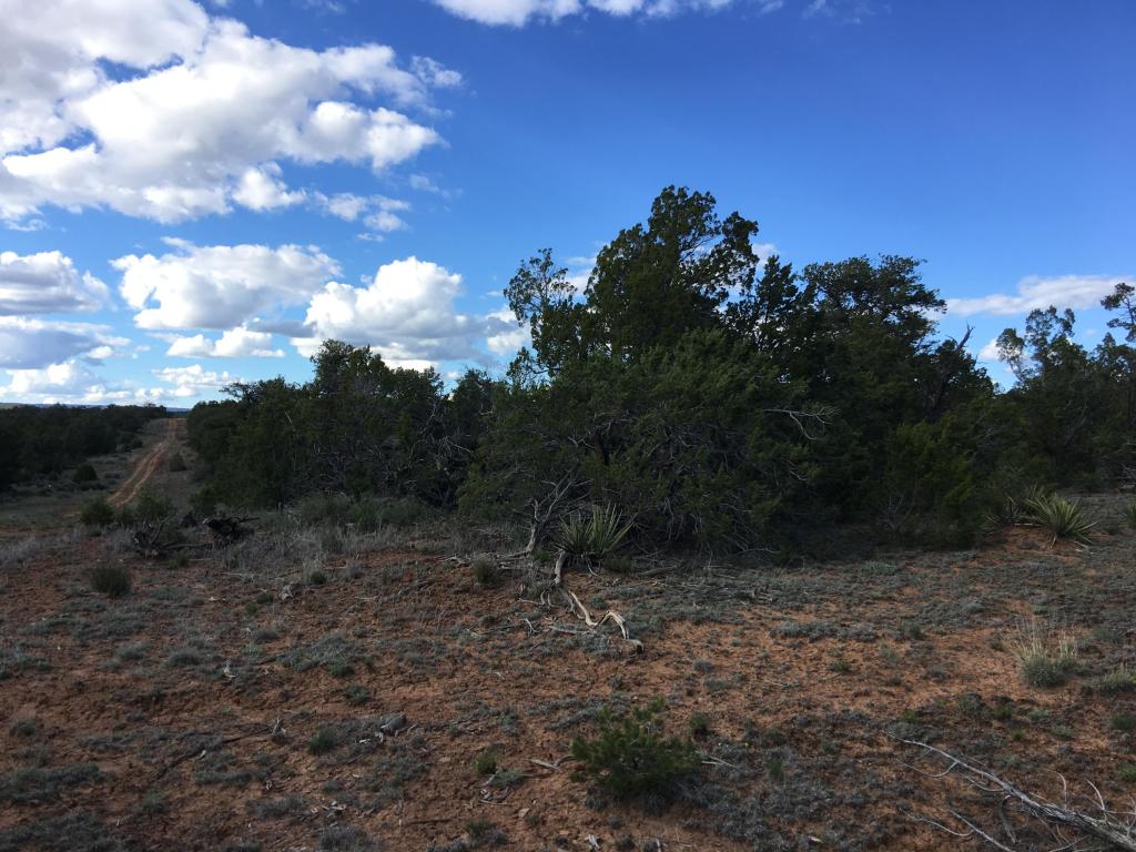 628 Pine Meadows Unit 4, Ramah, NM 87321
