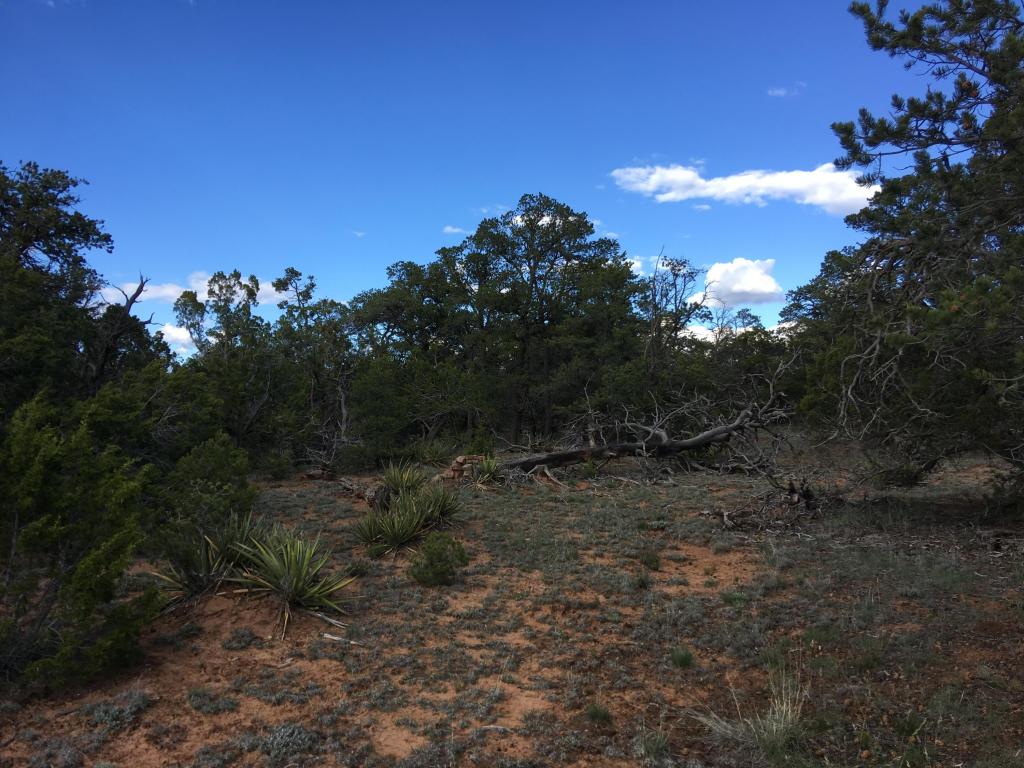 628 Pine Meadows Unit 4, Ramah, NM 87321