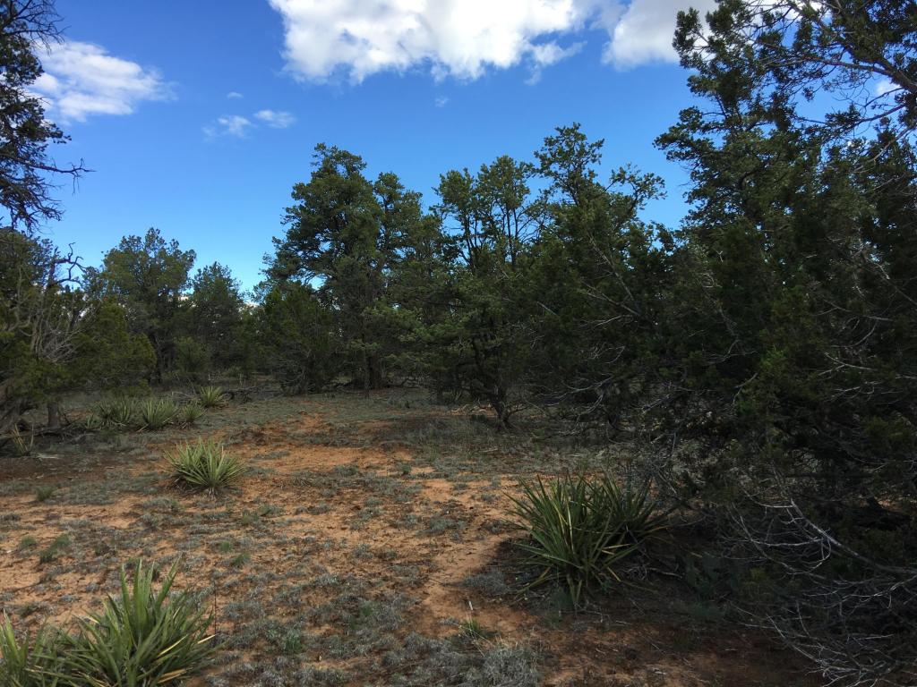 628 Pine Meadows Unit 4, Ramah, NM 87321