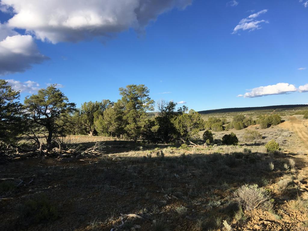 Lot 114 Pine Meadows Ranch Unit 3, Ramah, NM 87321