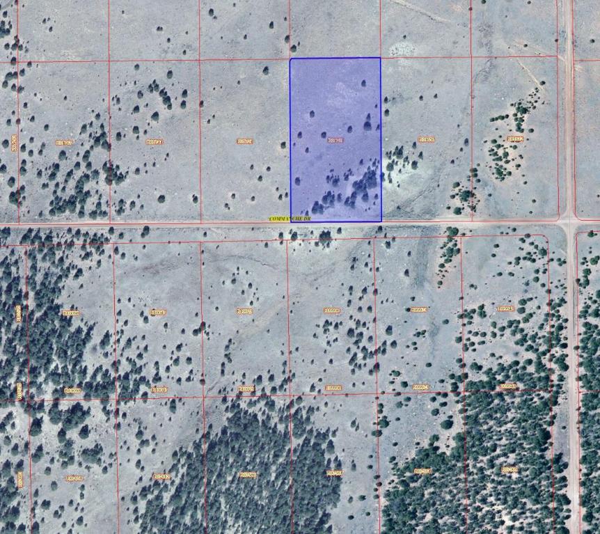 Lot 114 Pine Meadows Ranch Unit 3, Ramah, NM 87321