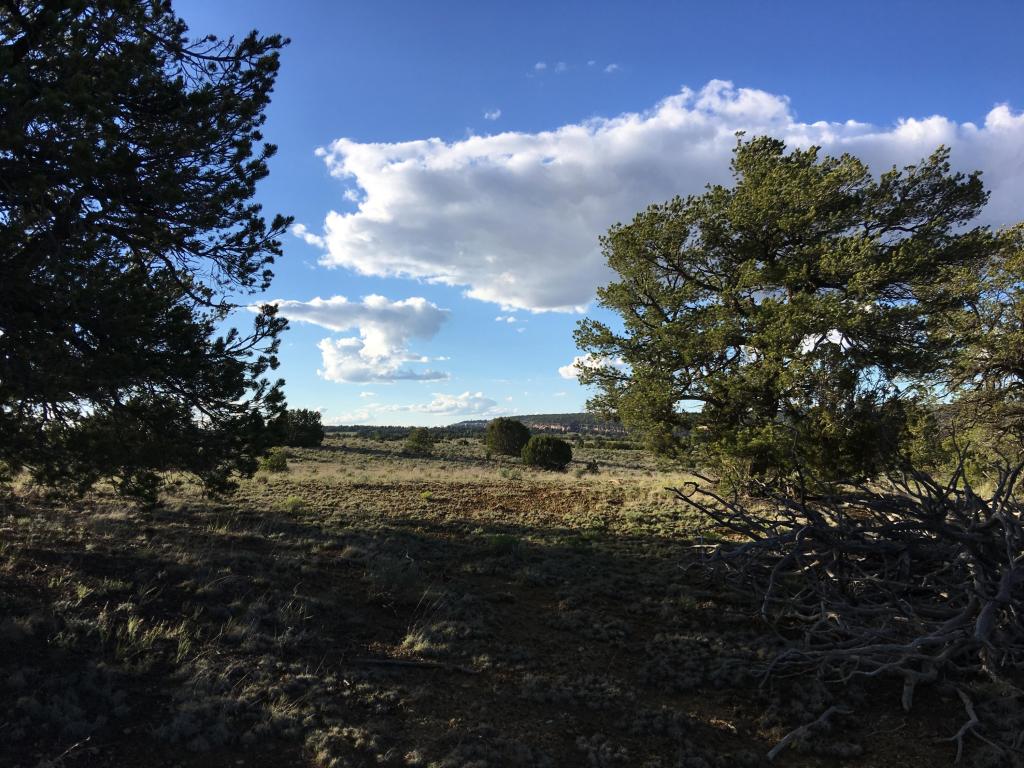Lot 114 Pine Meadows Ranch Unit 3, Ramah, NM 87321