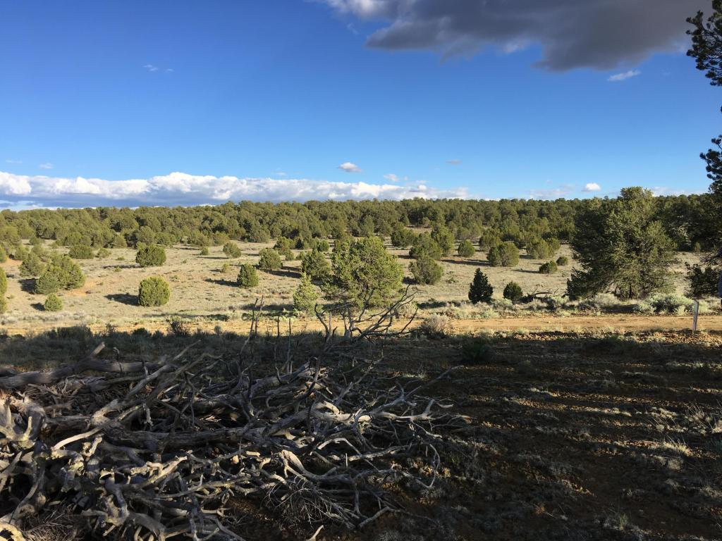Lot 114 Pine Meadows Ranch Unit 3, Ramah, NM 87321