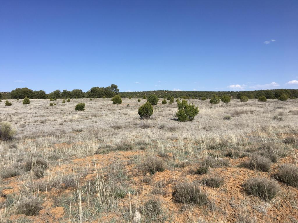 Lot 22 Rockhouse Road, Ramah, NM 87321
