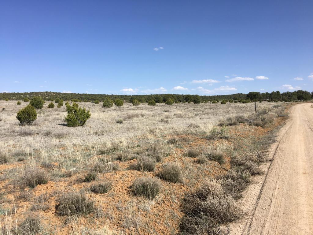Lot 22 Rockhouse Road, Ramah, NM 87321