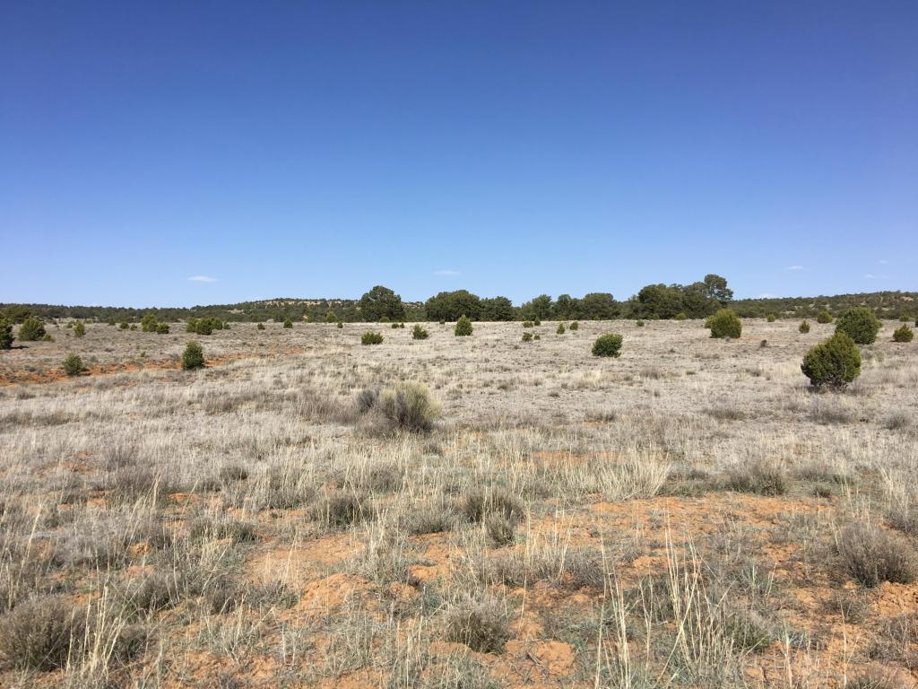 Lot 22 Rockhouse Road, Ramah, NM 87321