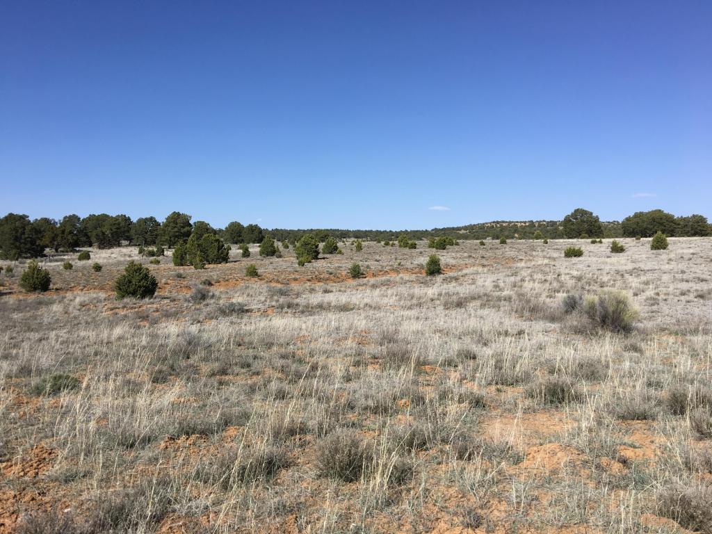 Lot 22 Rockhouse Road, Ramah, NM 87321