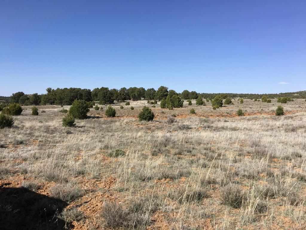 Lot 22 Rockhouse Road, Ramah, NM 87321