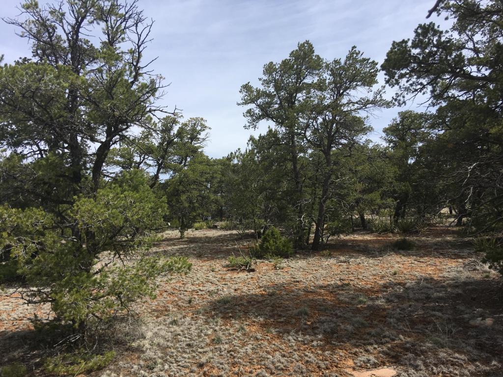 Lot835-836 Pine Meadows Ranch Unit 4, Ramah, NM 87321