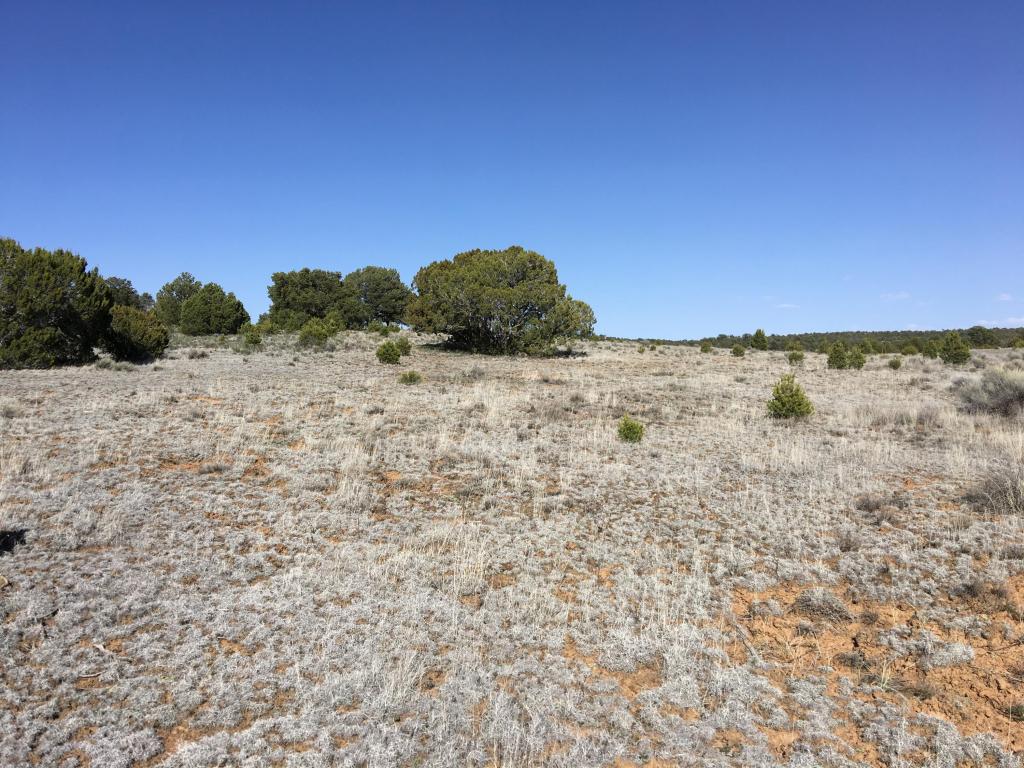 Lot 3 Rockhouse Road, Ramah, NM 87321