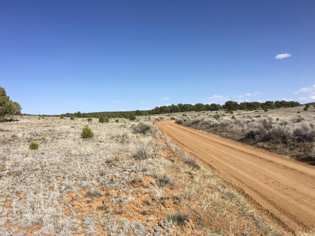 Lot 3 Rockhouse Road, Ramah, NM 87321