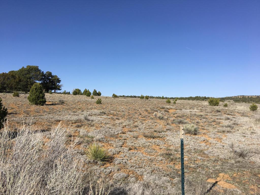 Lot 3 Rockhouse Road, Ramah, NM 87321