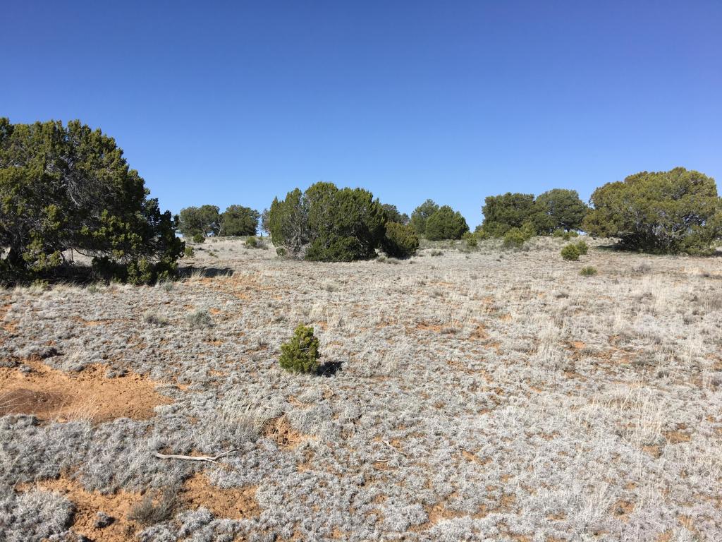 Lot 3 Rockhouse Road, Ramah, NM 87321