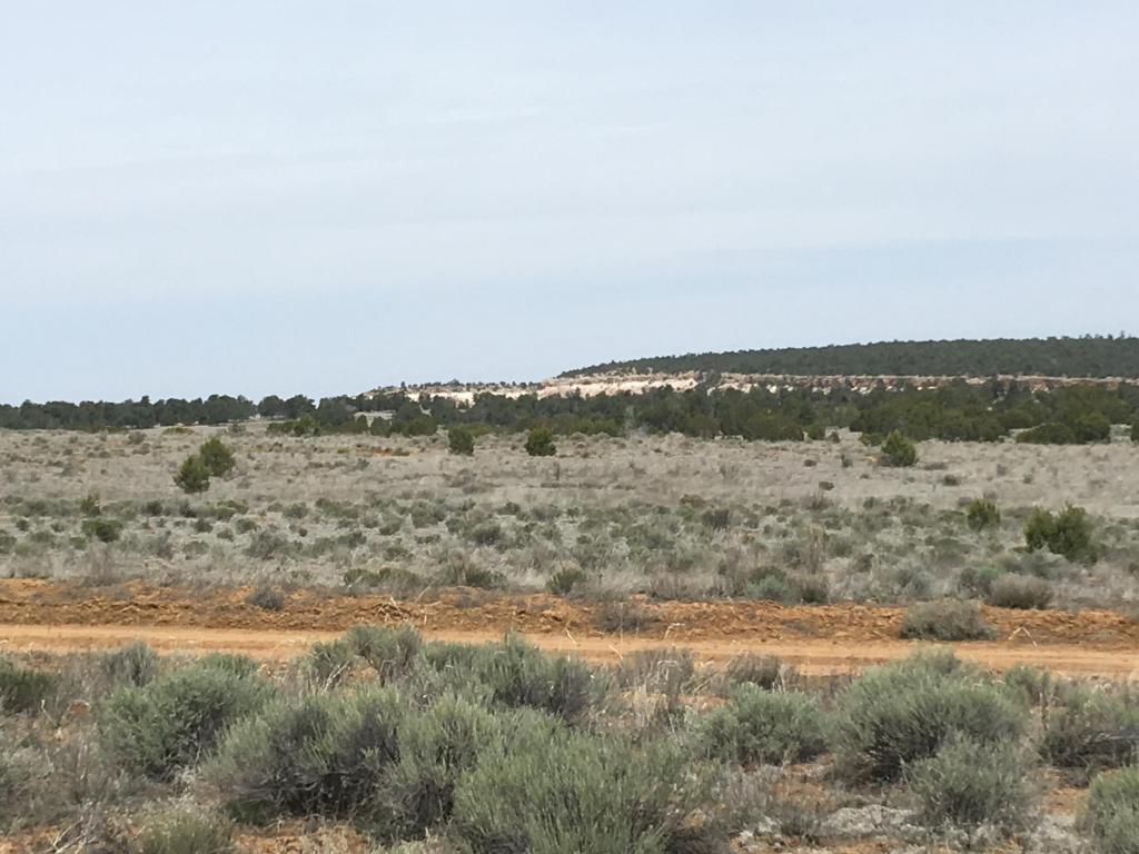 Lot 94 Pine Meadows Ranch Unit 3, Ramah, NM 87321