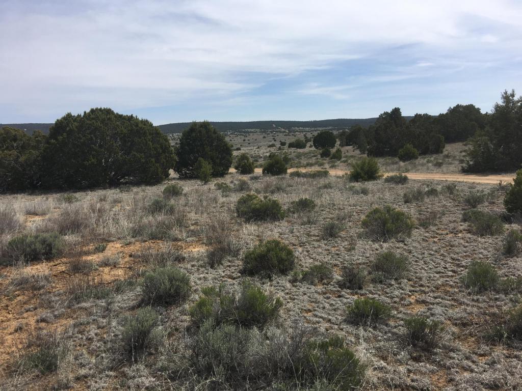 Lot 94 Pine Meadows Ranch Unit 3, Ramah, NM 87321