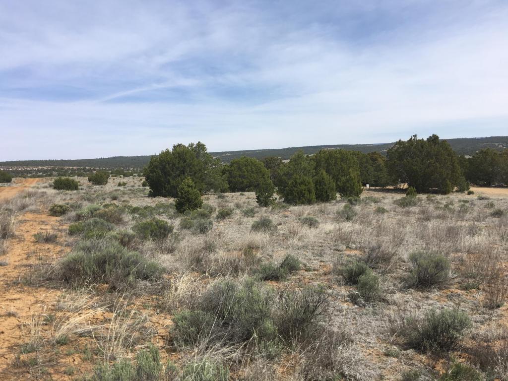 Lot 94 Pine Meadows Ranch Unit 3, Ramah, NM 87321