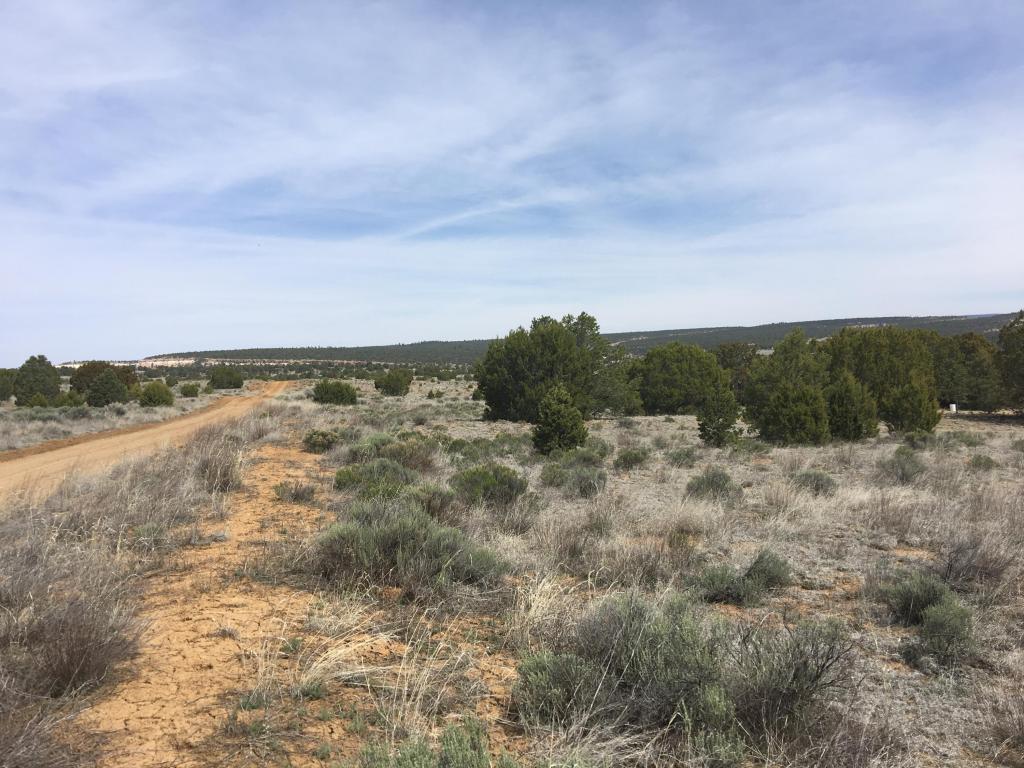 Lot 94 Pine Meadows Ranch Unit 3, Ramah, NM 87321