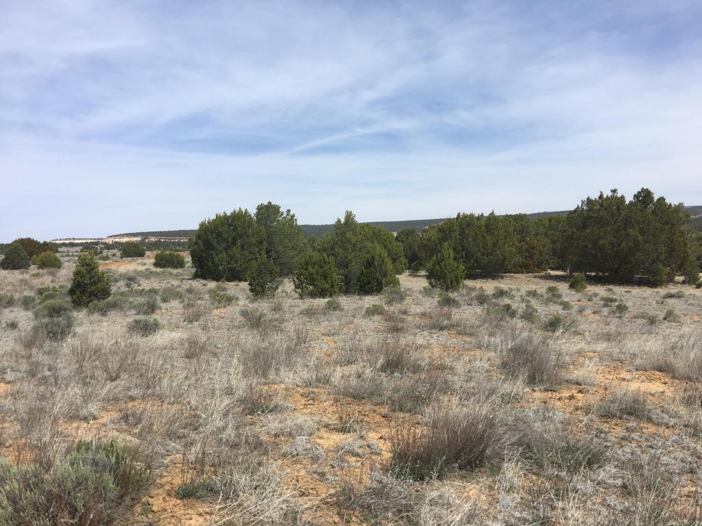 Lot 94 Pine Meadows Ranch Unit 3, Ramah, NM 87321