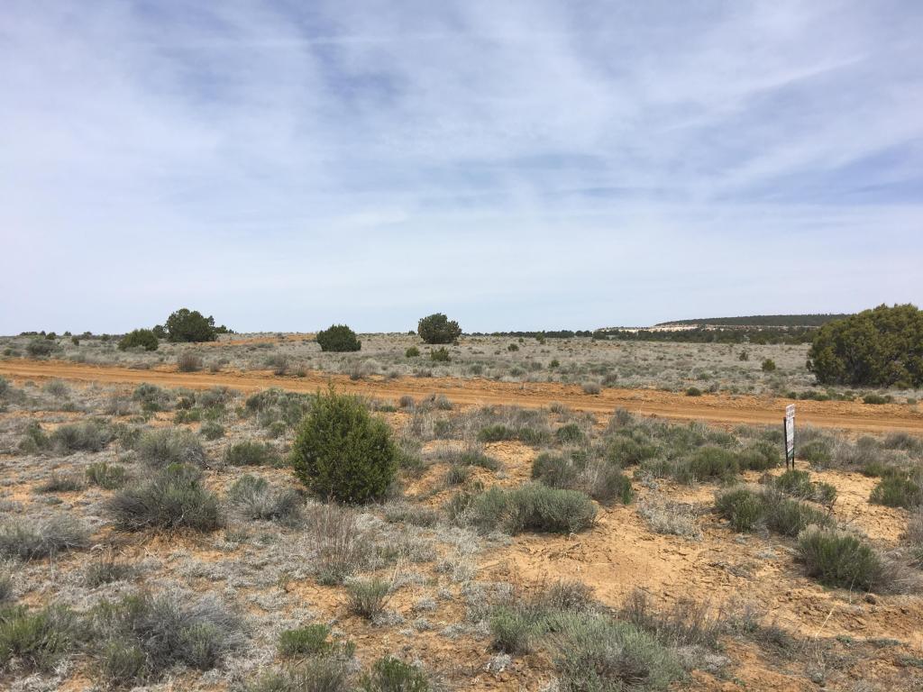 Lot 94 Pine Meadows Ranch Unit 3, Ramah, NM 87321